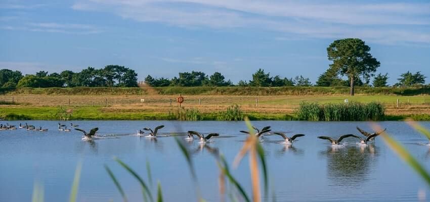 Our Award-Winning Green Practices