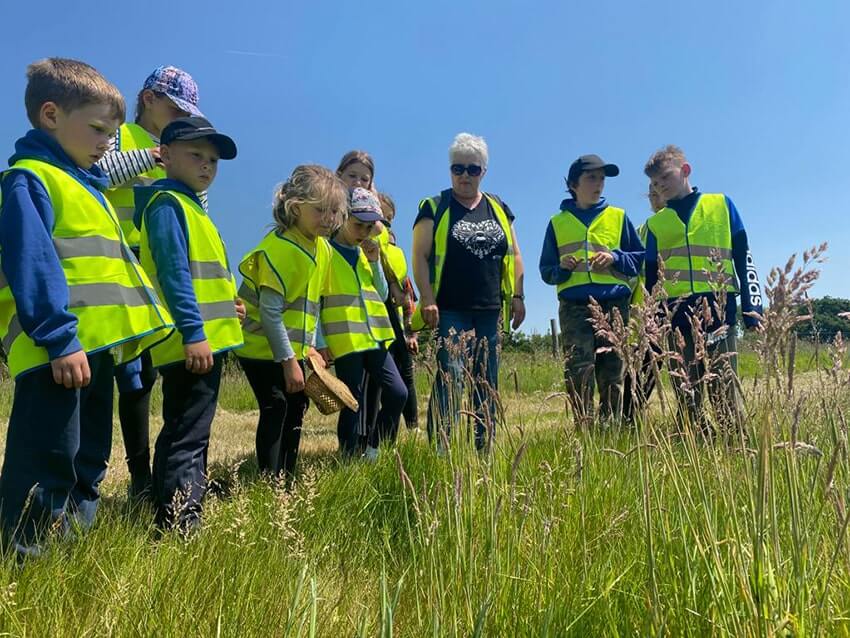 Bumblebee Safari around Downton Quarry