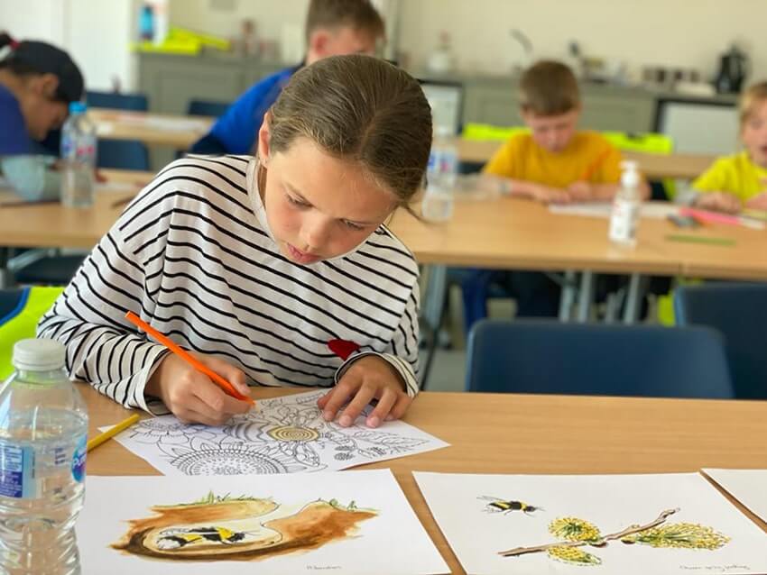 Bumblebee Workshop Primary School Students